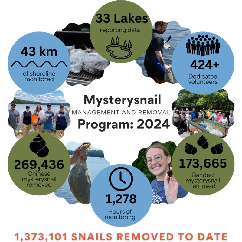 Mysterysnail Management and Removal Program Mysterysnail Management and Removal Program - 2024 Stats
